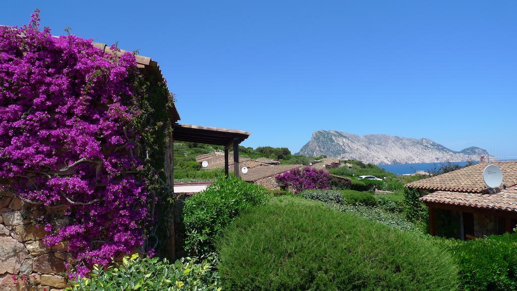 Casa Molara Villa San Teodoro  Bilik gambar